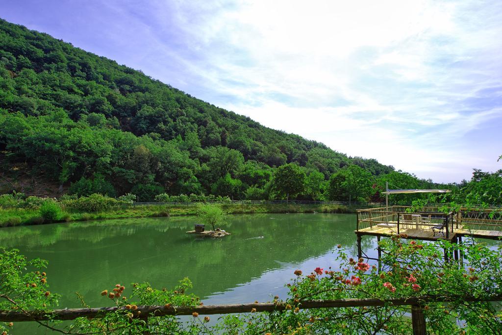 Montescalari ξενώνας Poggio Alla Croce Εξωτερικό φωτογραφία
